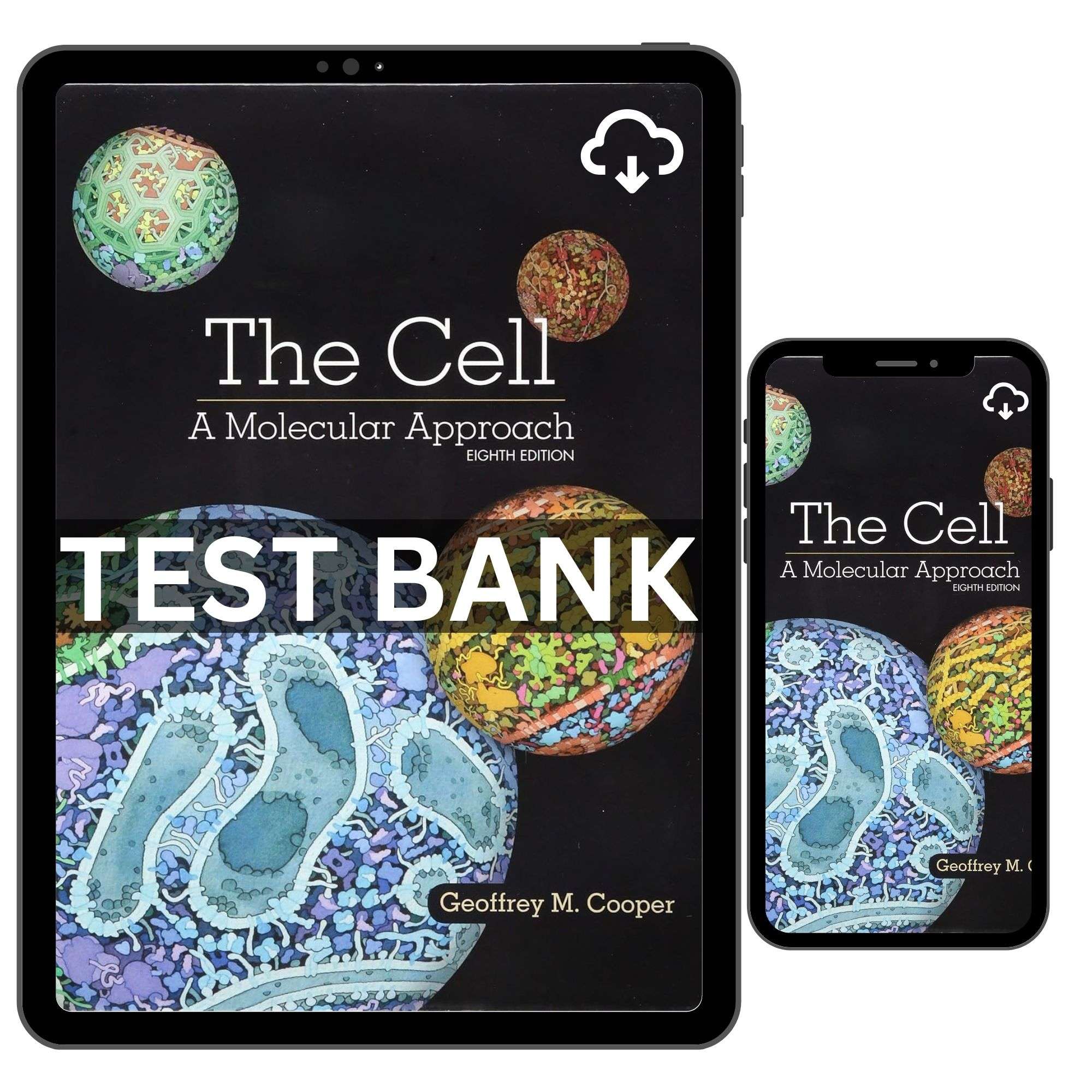 Cell Molecular Approach 8th Edition by Cooper