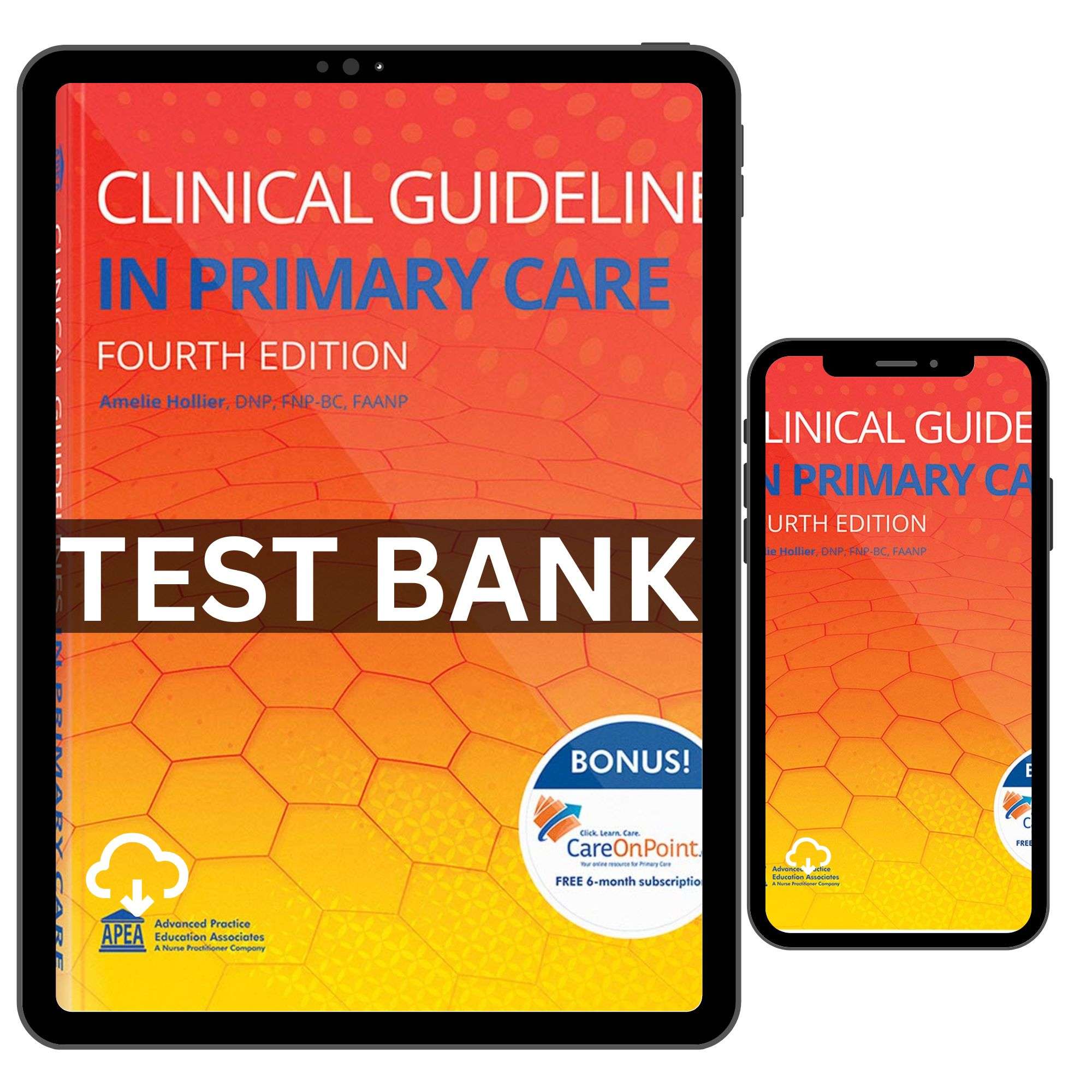 Clinical Guidelines in Primary Care 4th Edition by Hollier