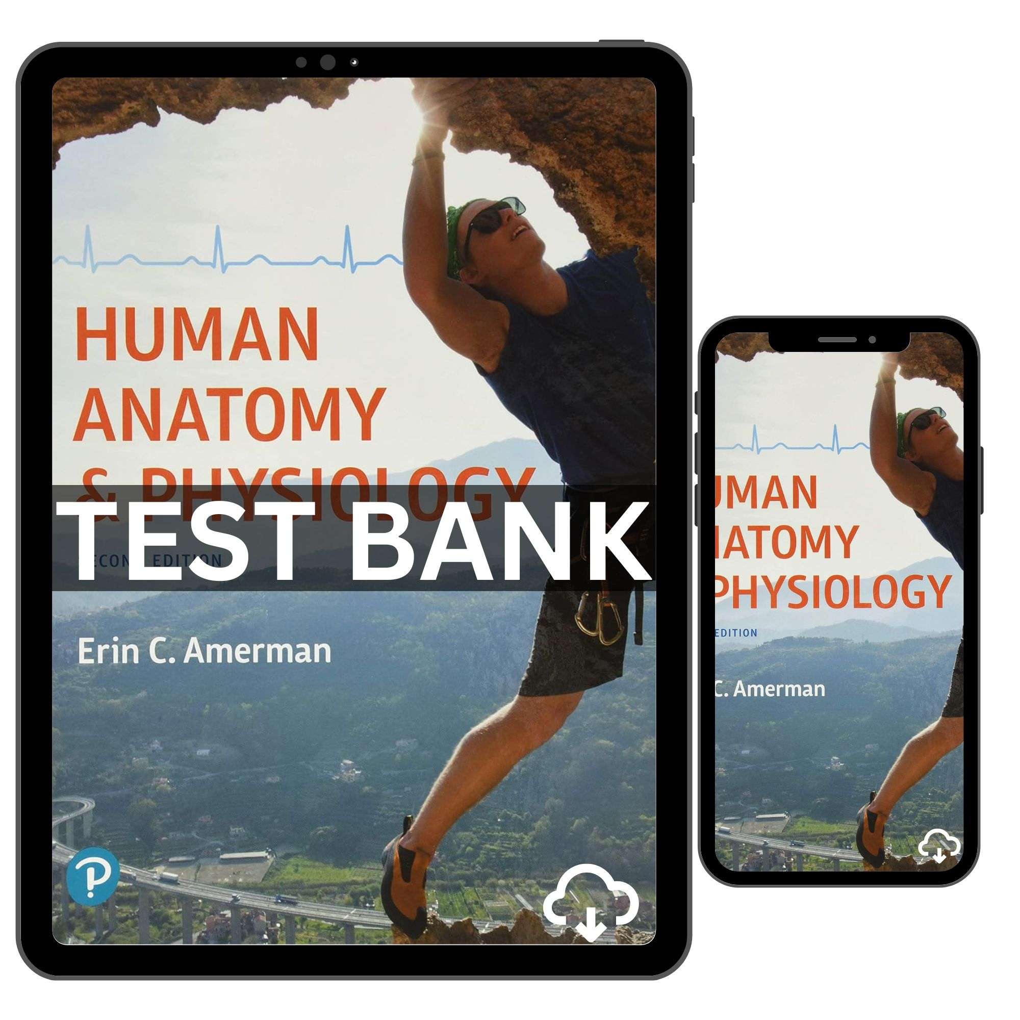 Human Anatomy And Physiology 2nd