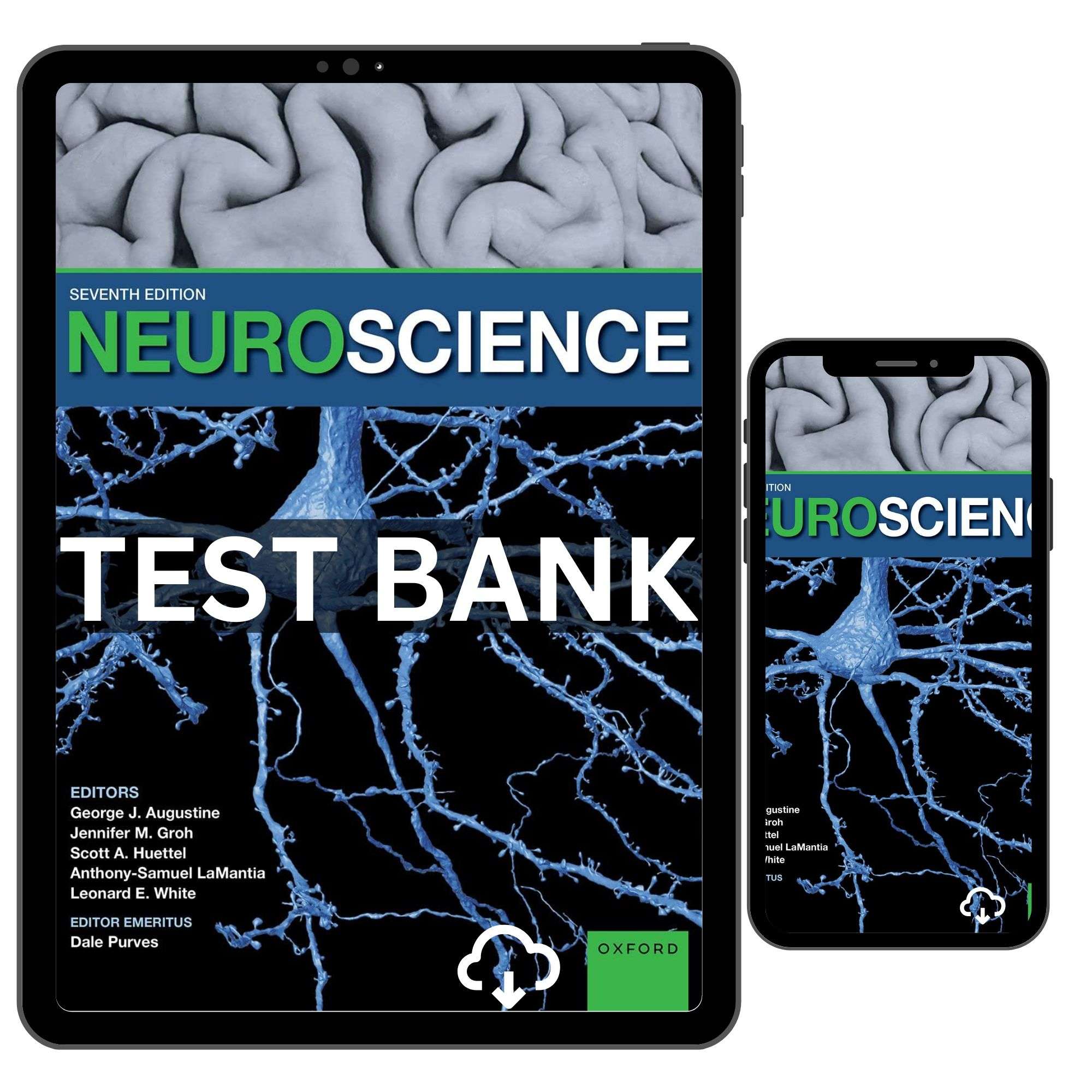 Neuroscience 7th Edition