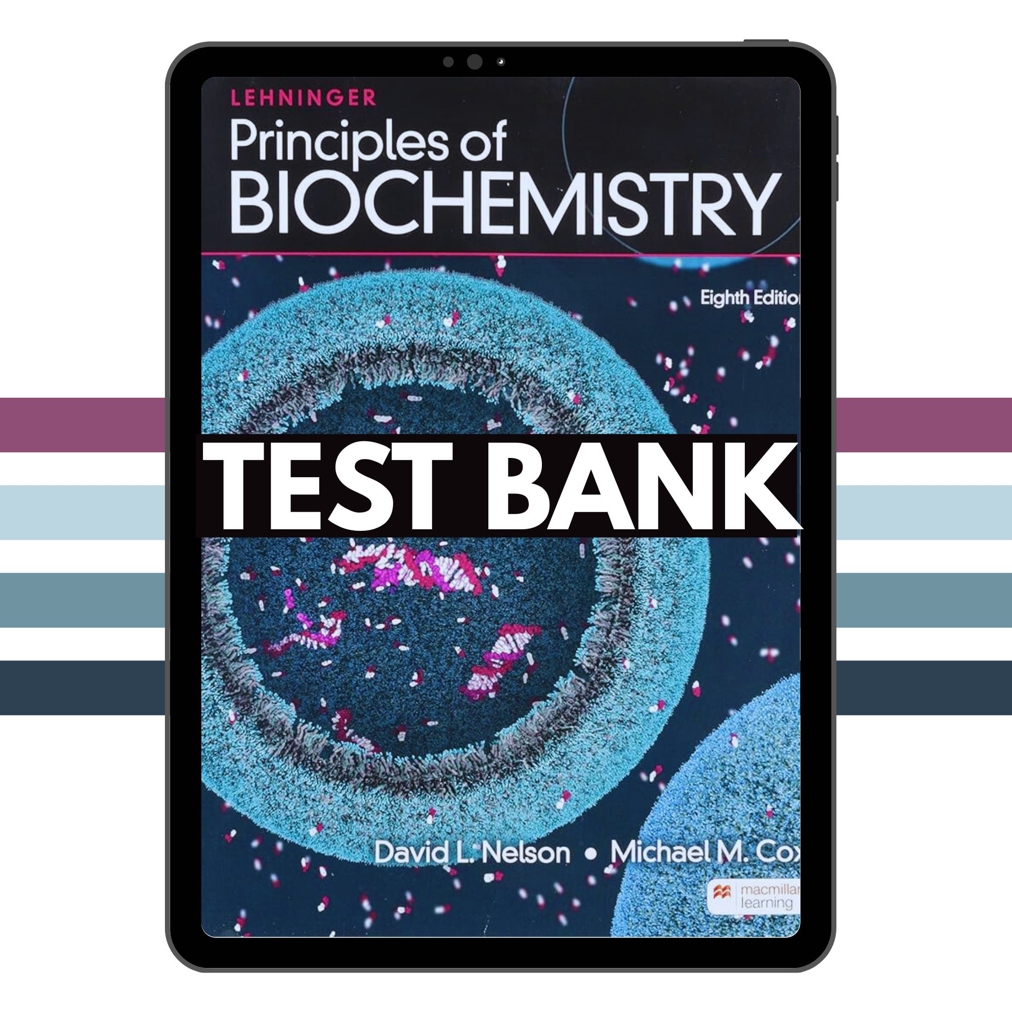 Principles Of Biochemistry 8th Test Bank