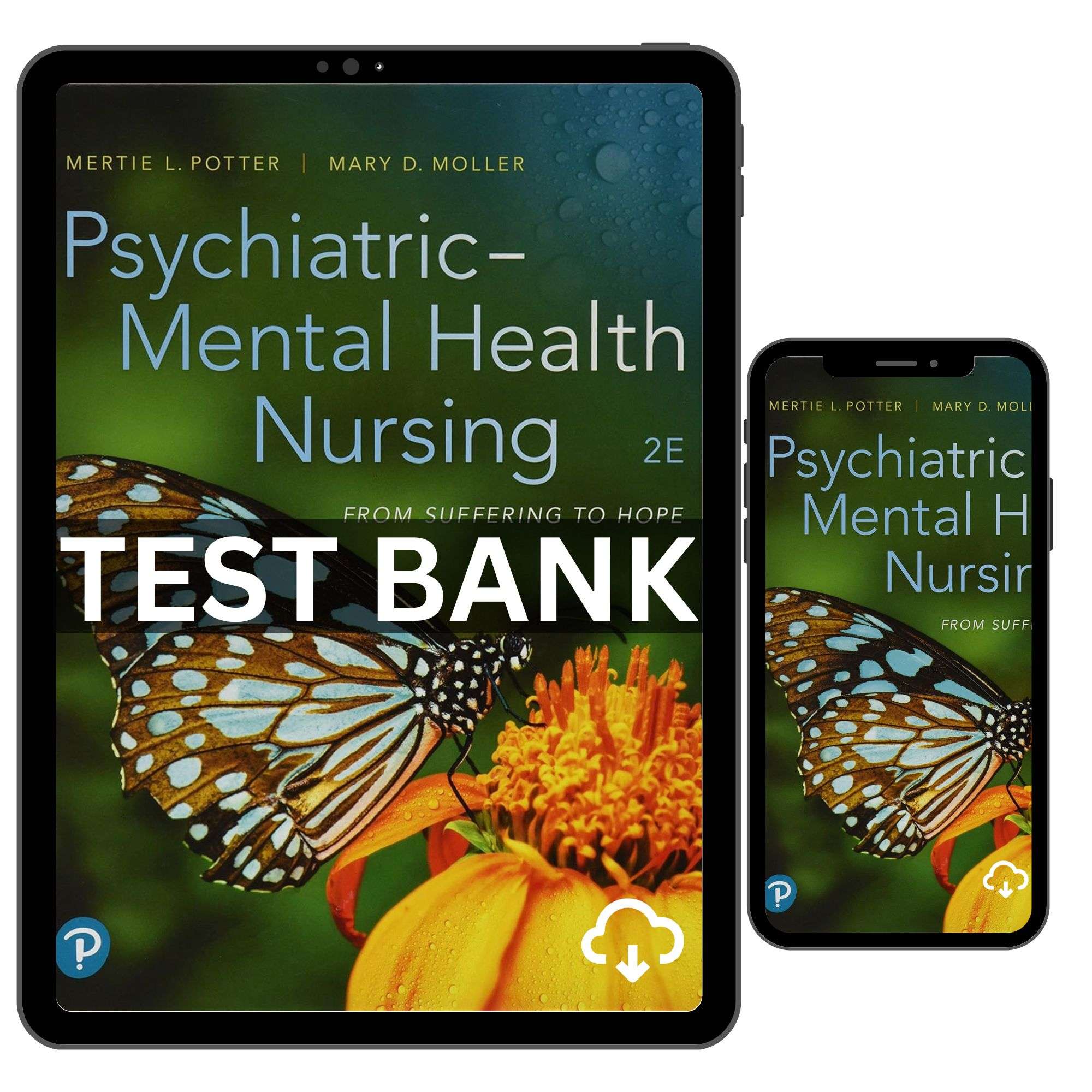 Psychiatric Mental Health Nursing 2nd Edition by Potter