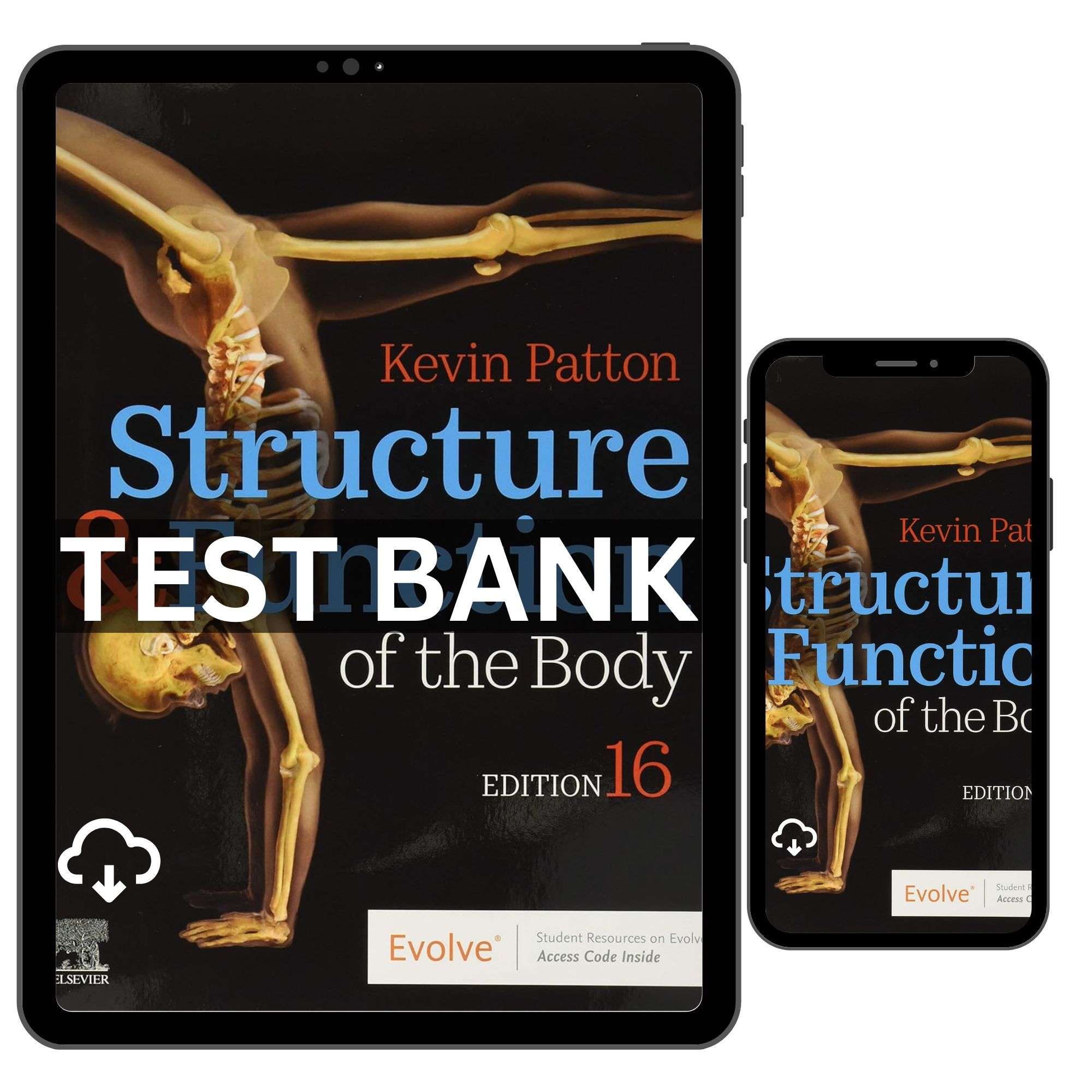 Structure and Function Of The Body 16th