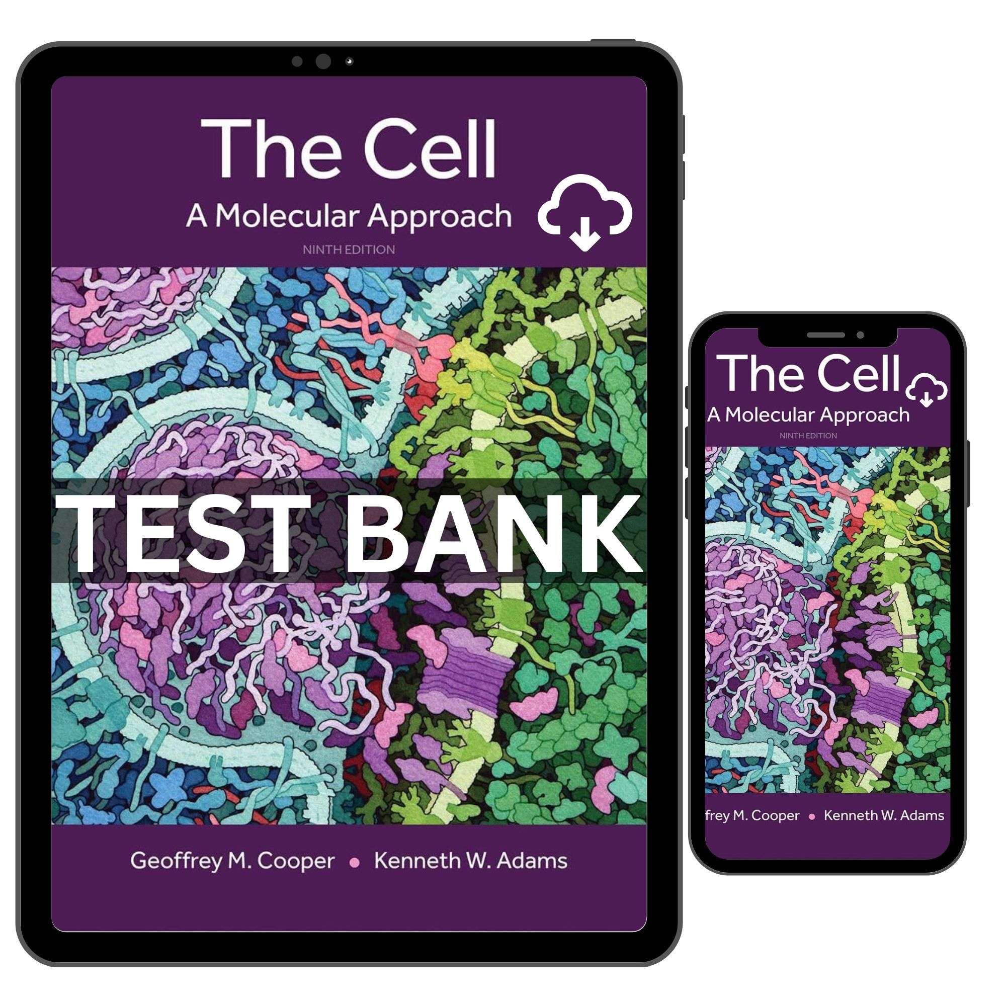The Cell A Molecular Approach 9th Edition