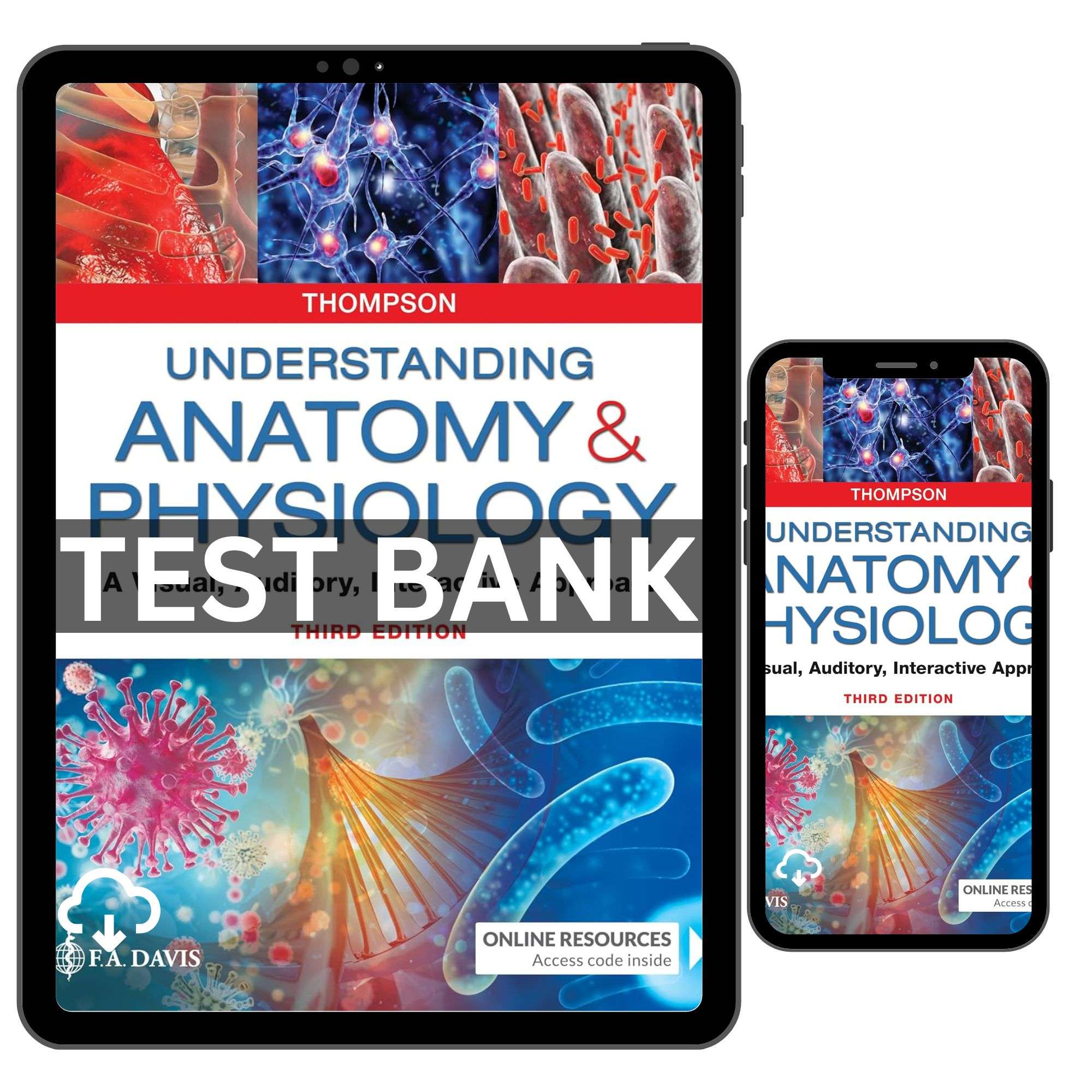 Understanding Anatomy And Physiology 3rd Edition