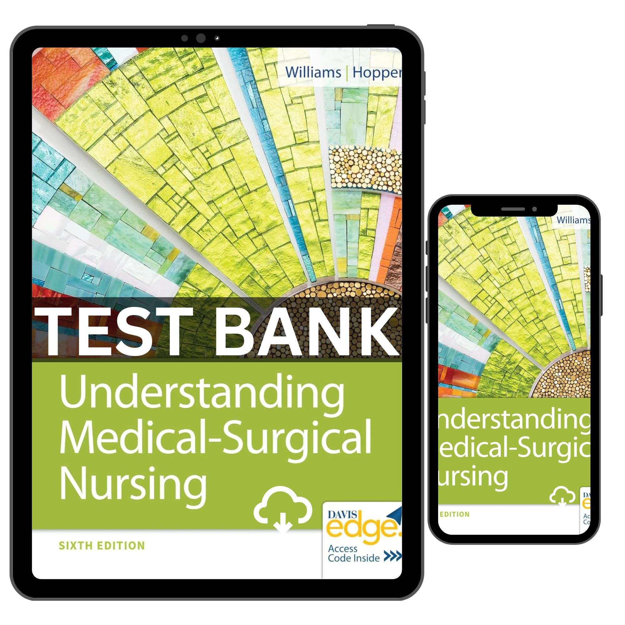 Understanding Medical Surgical Nursing 6th